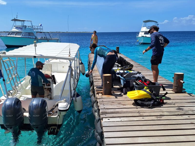 Reef Renewal Foundation 2026